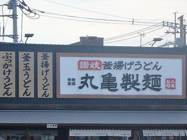 【周辺】【そば・うどん】丸亀製麺　川口上青木店まで494ｍ