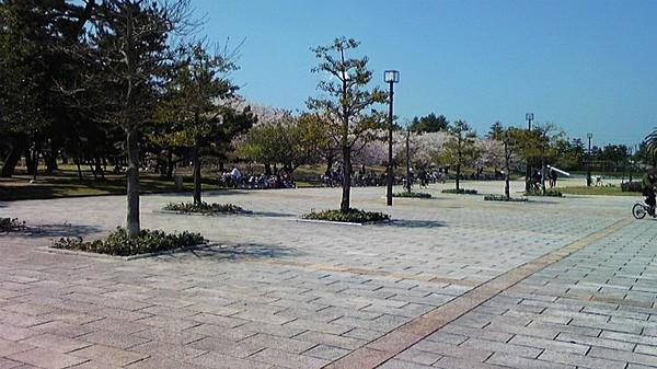 【周辺】浜寺公園　毎日お散歩できる大きな浜寺公園まで徒歩で行けますよ　子供たちは夏の浜寺プールが楽しみですね。