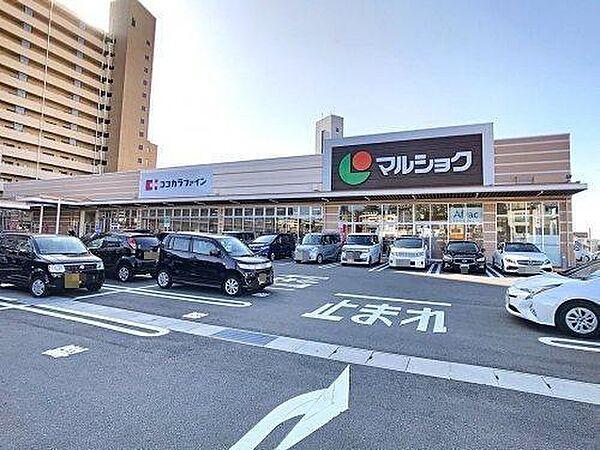【周辺】マルショク東駅店(1、344m)