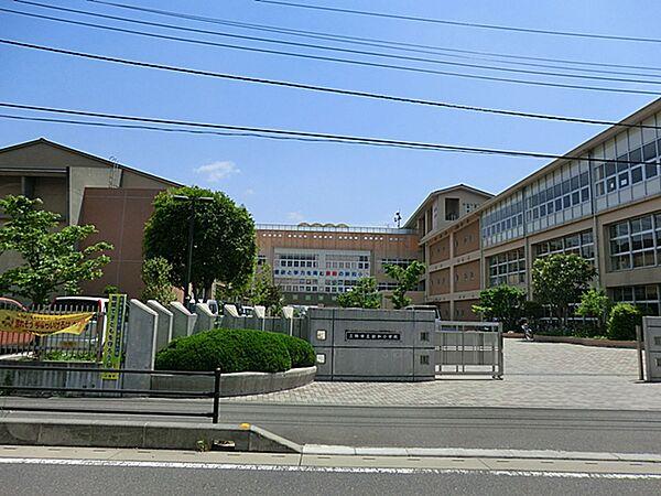【周辺】三郷市立新和小学校　730ｍ徒歩約10分でお子様の登下校も安心です。　