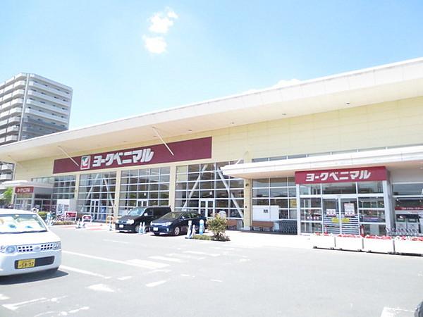 【周辺】ヨークベニマル新田東店1100m