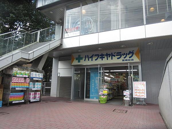 【周辺】ハイフキヤドラッグ宮崎台駅前店698m
