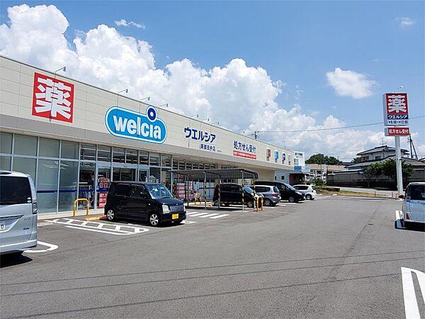 【周辺】ウェルシア東御田中店（799m）