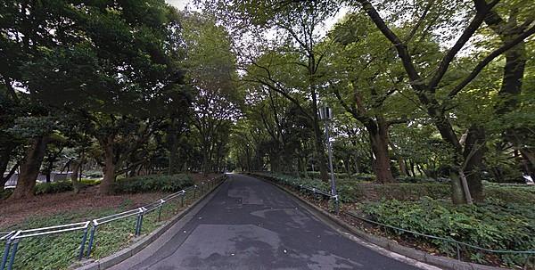 【周辺】緑豊かな公園