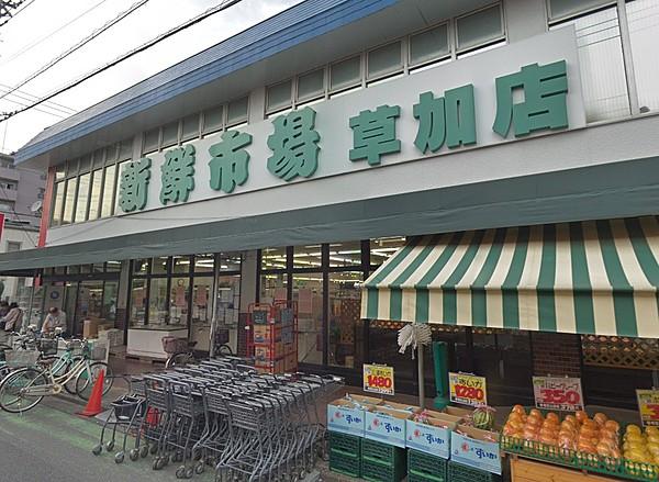【周辺】新鮮市場 草加店