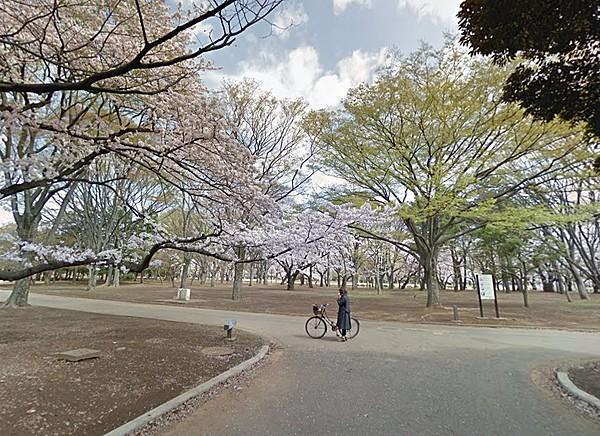【周辺】春には桜も楽しめる自然豊かな公園