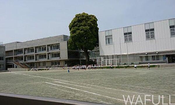 【周辺】世田谷区立松沢小学校 750m