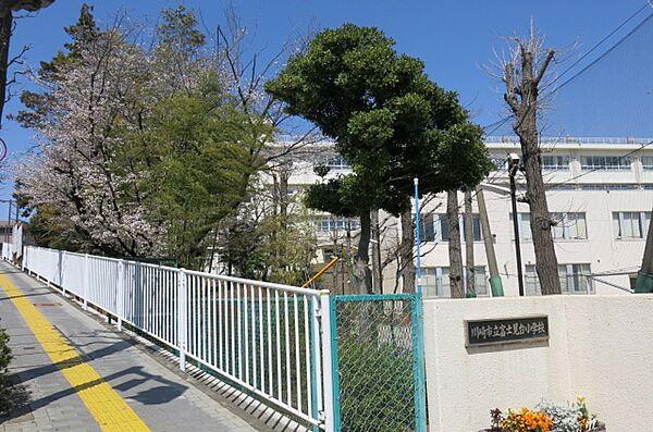 【周辺】川崎市立富士見台小学校(小学校)まで323m