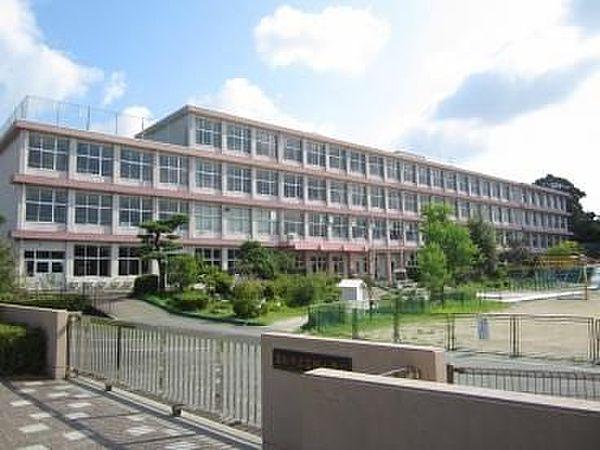 【周辺】浜松市立富塚小学校 564m