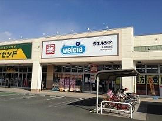 【周辺】Welcia(ウエルシア) 浜松船越店 563m