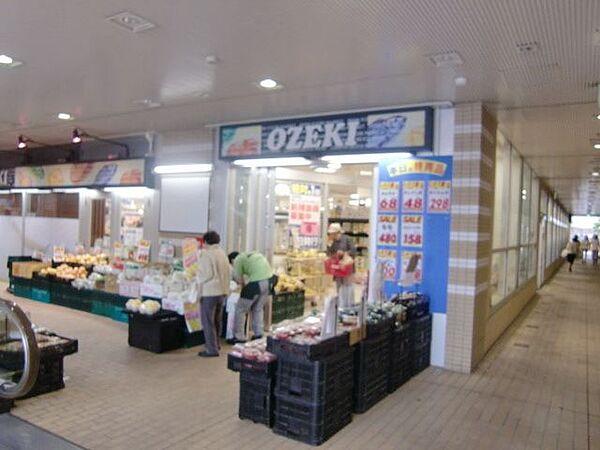 【周辺】スーパーオオゼキ市川店 770m
