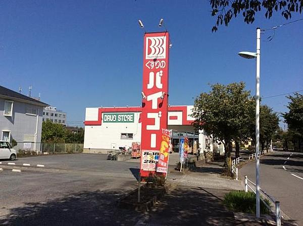 【周辺】ドラッグストアバイゴー昭島店 760m