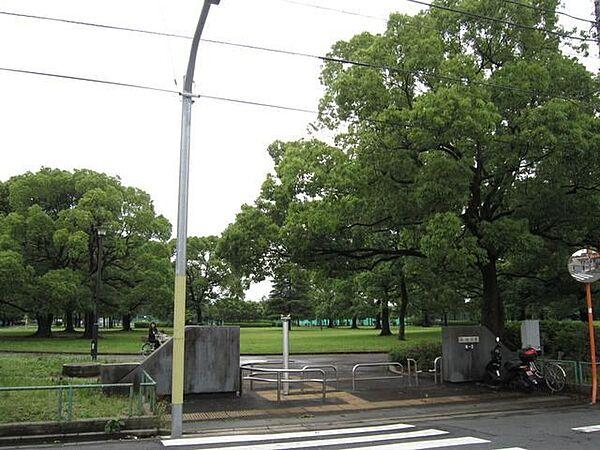 【周辺】篠崎公園 750m