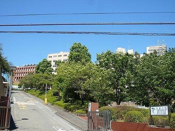 【周辺】帝京大学 1300m