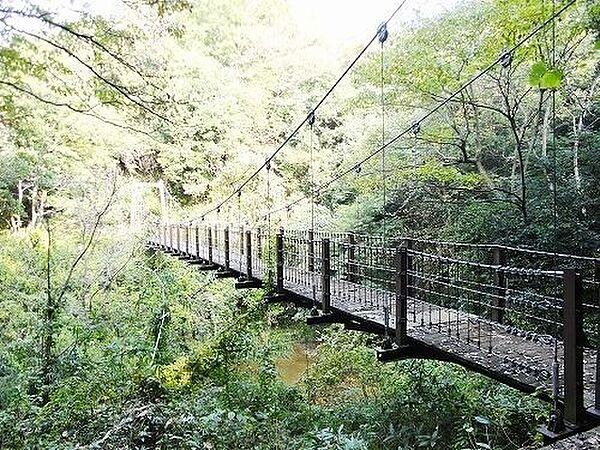 【周辺】つり橋のある公園 300m