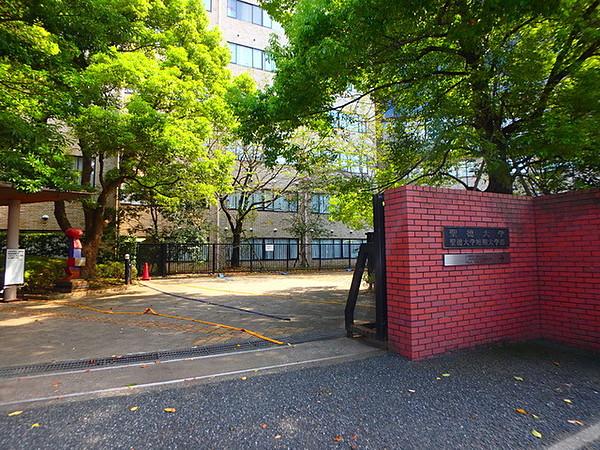 【周辺】聖徳大学 720m