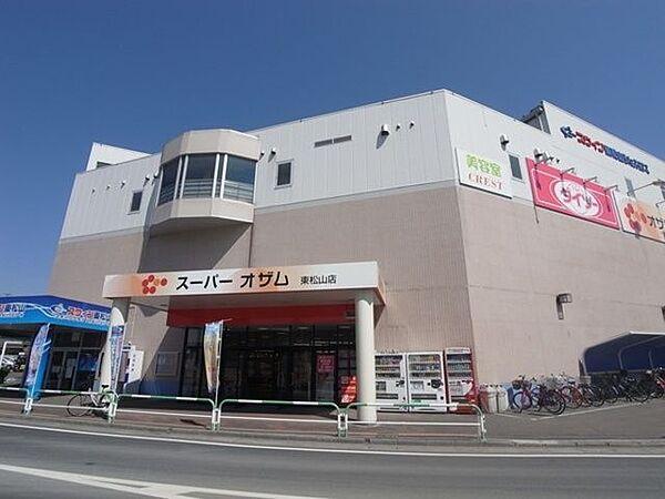 【周辺】スーパーオザム東松山店 徒歩10分。 740m