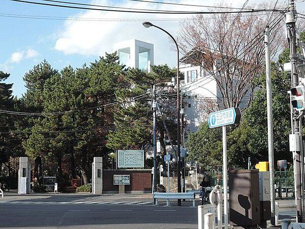 【周辺】私立武蔵野大学 徒歩16分。大学・短大 1230m
