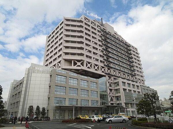 【周辺】川崎市立病院 229m