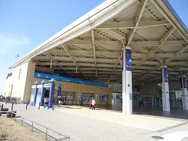 【周辺】新江ノ島水族館 394m