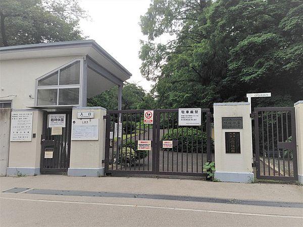 【周辺】小石川植物園まで350ｍ