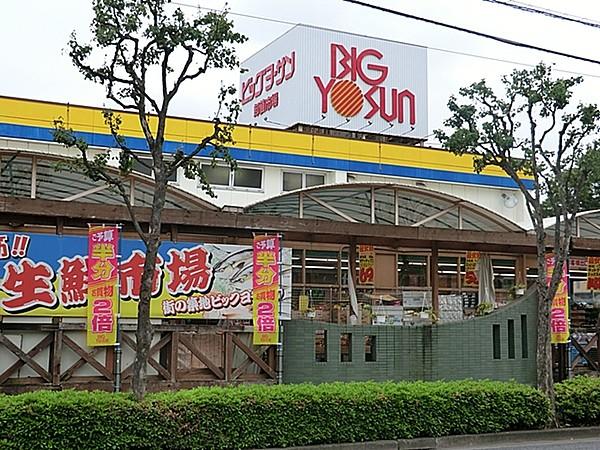 【周辺】ビッグヨーサン町田小山店／830m
