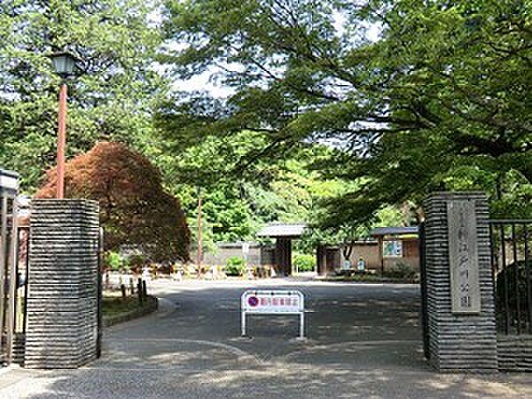 【周辺】周辺環境:新江戸川公園