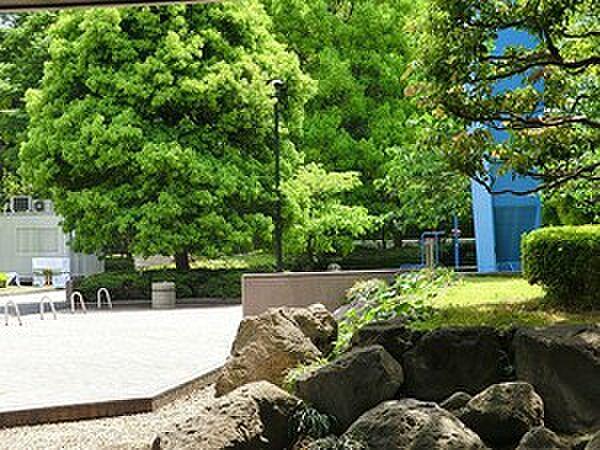 【周辺】周辺環境:浜崎公園