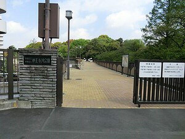 【周辺】妙正寺川公園