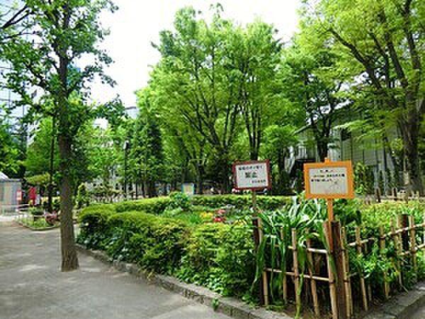 【周辺】周辺環境:恵比寿公園