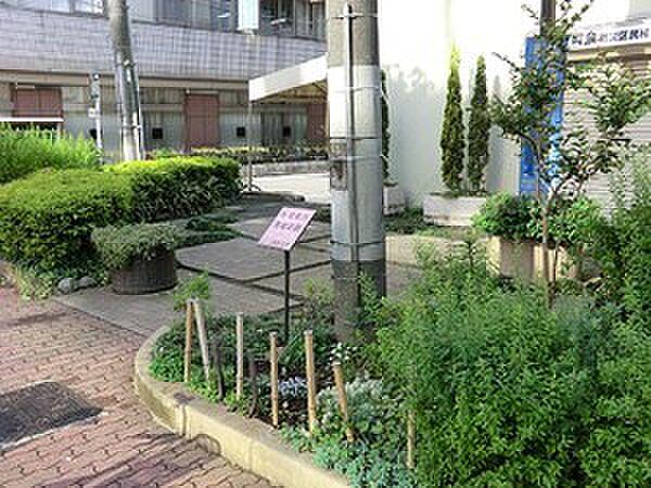【周辺】周辺環境:桜橋南西児童遊園