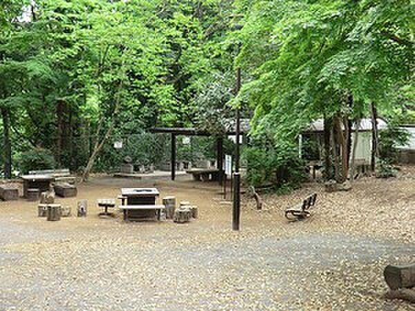 【周辺】周辺環境:鎌田公園