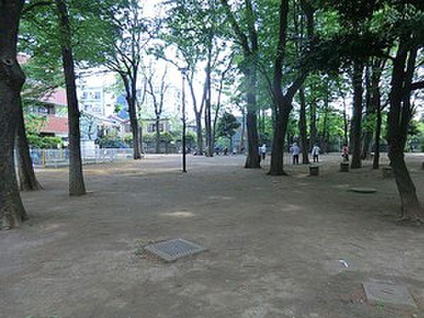 【周辺】丸山塚公園