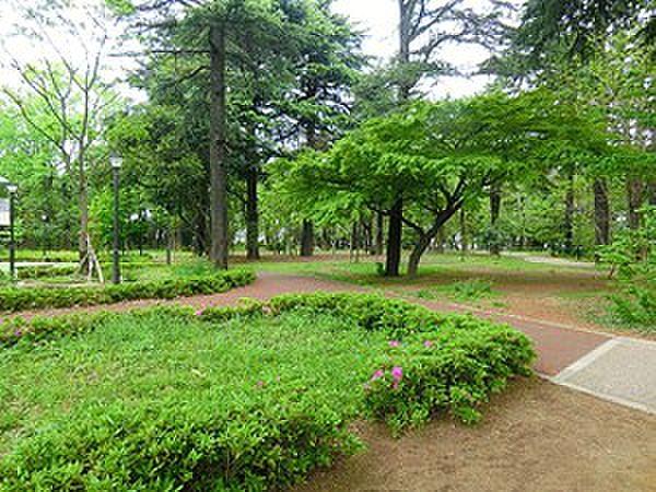 【周辺】周辺環境:江古田の森公園