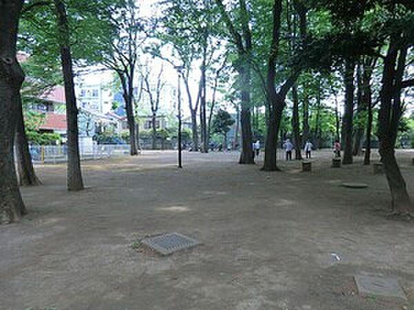 【周辺】周辺環境:丸山塚公園