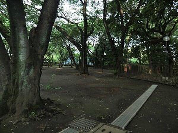 【周辺】周辺環境:上野毛自然公園