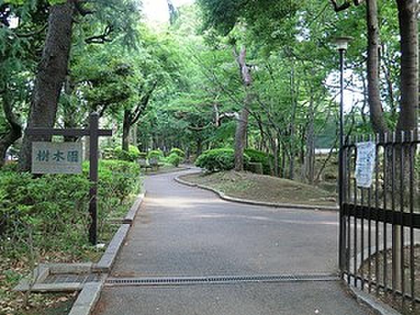 【周辺】駒沢緑泉公園