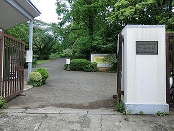 【周辺】小石川植物園