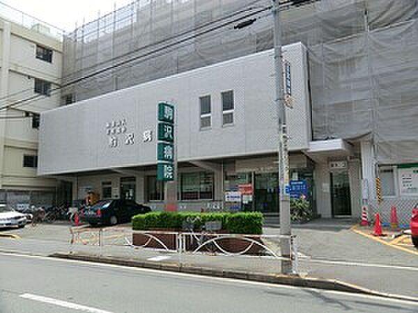 【周辺】周辺環境:駒沢病院