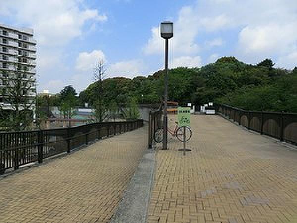 【周辺】妙正寺川公園