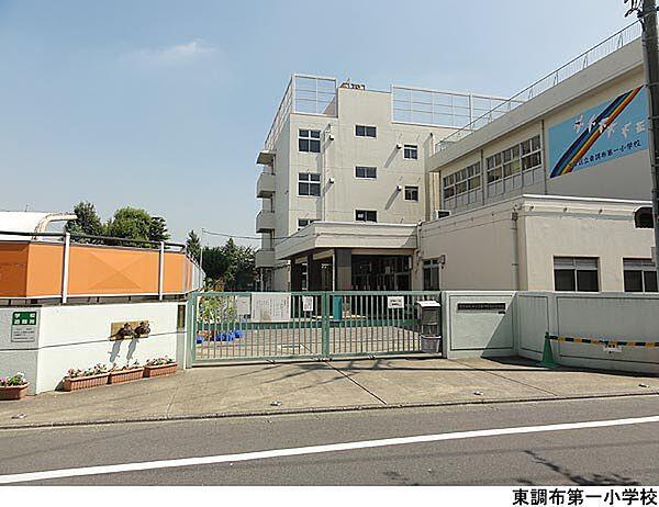 【周辺】東調布第一小学校