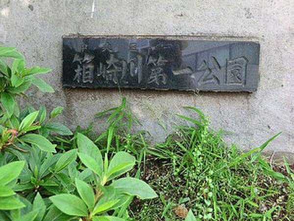 【周辺】周辺環境:箱崎川第一公園