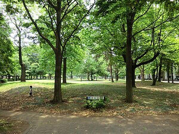 【周辺】周辺環境:戸山公園