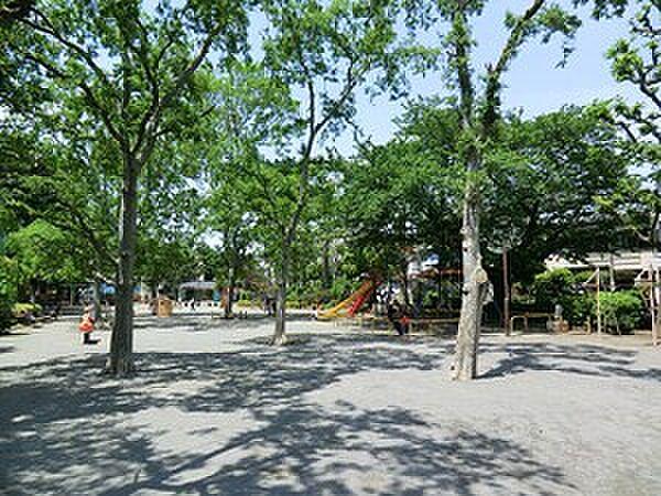 【周辺】周辺環境:赤松公園