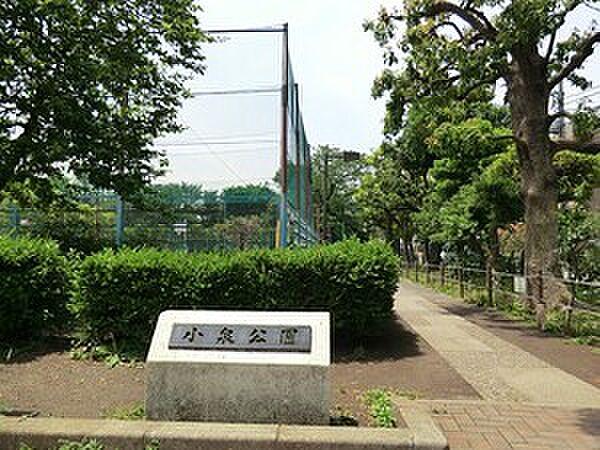 【周辺】周辺環境:小泉公園