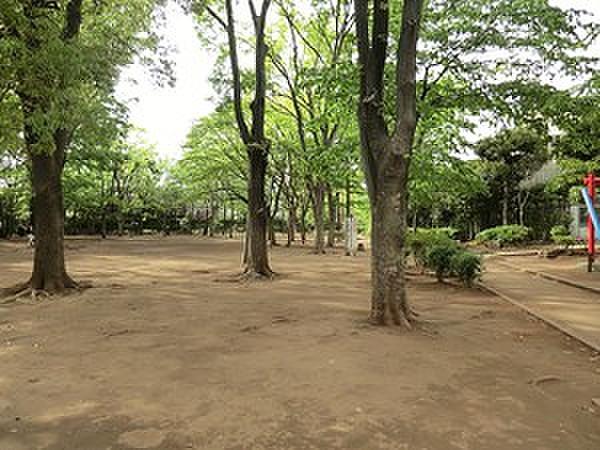 【周辺】周辺環境:中央緑地公園