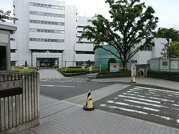 【周辺】周辺環境:東京都立大塚病院