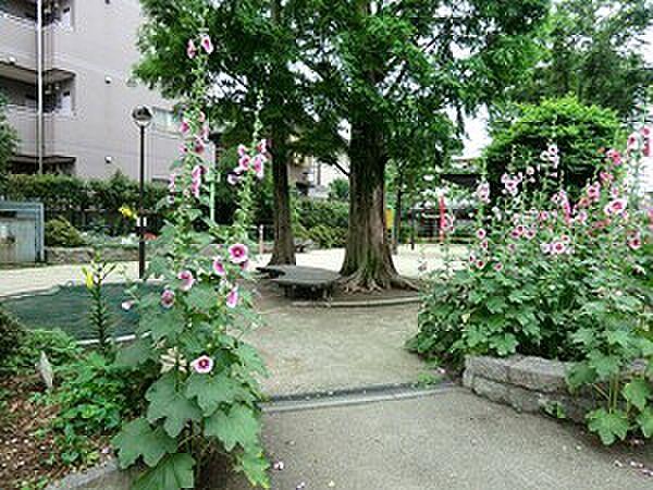 【周辺】周辺環境:松ノ木公園