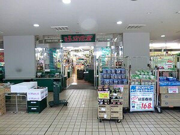 【周辺】文化堂月島店
