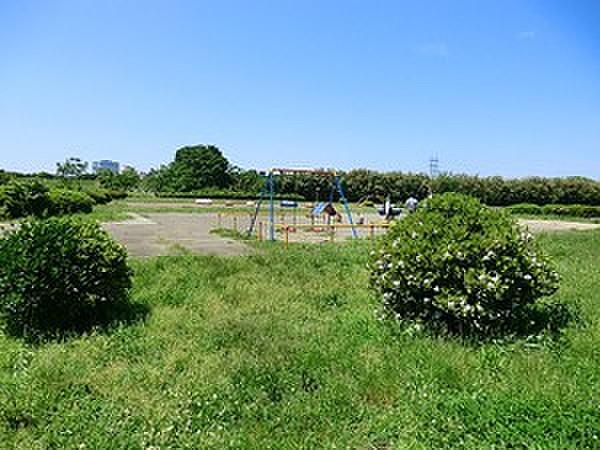 【周辺】多摩川玉川公園
